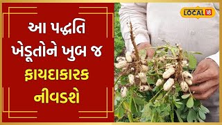 Farming | ખેડૂતો હવે થઈ જાઓ ચિંતામુક્ત, આ પિયત પદ્ધતિ આપશે પાકને નવજીવન  | #local18