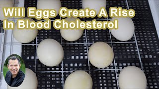 Will Eggs Create A Rise In Blood Cholesterol?