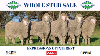 Glenlea Park Merino Whole Stud Sale