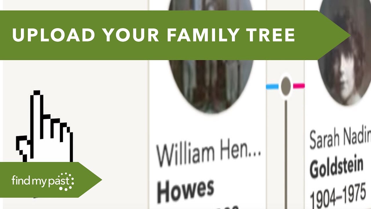 How To Upload Your Tree To Findmypast Youtube