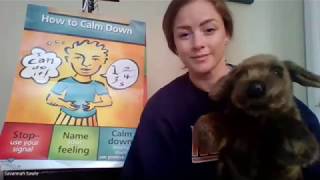 Second Step Lesson 17: Solving Problems 1