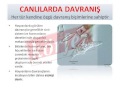 canlılarda davranış 1