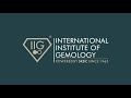 International Institute of Gemology(IIG)|56Years Legacy-India's Most Trusted Gems &Jewelry Institute