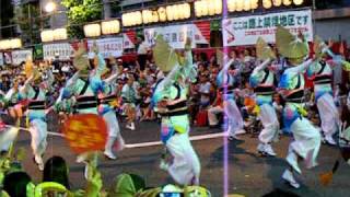 2010　葵新連東京高円寺阿波踊り