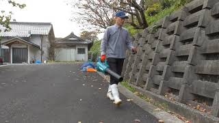 落葉掃除(浄土宗 極楽寺）