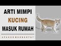 Arti Mimpi Kucing Masuk Rumah