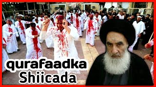 Qurafaadka Shiicada Iyo Ziyaarta Magaaladda Karbala Xaqiiiqo Kusabsan