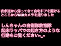 2021.3.5 おしゃべりしんちゃん素早いしんちゃんまったりしんちゃん　【セキセイインコしんちゃん】