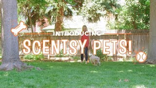 Introducing Scentsy Pets!