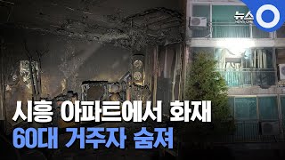 시흥 아파트에서 화재 60대 거주자 숨져