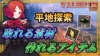 【Valheim（ヴァルヘイム）】平地で獲得できる素材と作れる装備・料理をご紹介　＜ゆっくり紹介＞