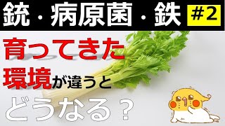 『銃・病原菌・鉄』#2 平和の民と戦う民のわかれ道 【じっくり解説】