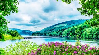 Relaxing Music for Stress Relief, Relaxing Music, Stress Relief, Meditation Music ☯010