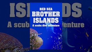 Red Sea: Brother Islands a Scuba Dive Adventure