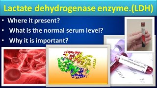 Lactate Dehydrogenase #biochemistry #LDH#medilabacademy#CBC