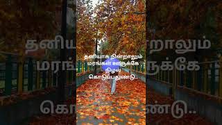 தனித்து நின்றாலும் கலங்காதே #thanimai #alone #lonely #loneliness #thanimaiye #truth #motivation #tam