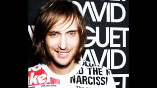 David Guetta & Chris Willis Ft. Fergie & Lmfao - Gettin over You (Sidney Samson remix).wmv