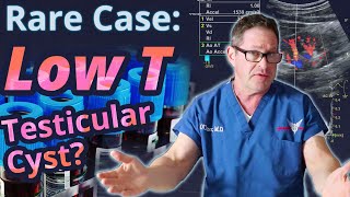 Rare Case: Low Testosterone - Testicular Cyst?