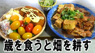 歳を食うと畑を耕す晩酌【飯テロ】【飯動画】【酒動画】