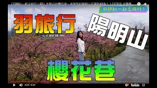 櫻花季!陽明山平菁街42巷-平等里.禾豐農園.公平橋.狗殷勤古道