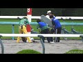 永島まなみジョッキーの不運な落馬の瞬間 ※永島ジョッキーは6 28名古屋競馬で復帰　2023.06.24 阪神2r