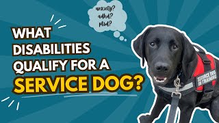 What disabilities qualify for a service dog (under the ada)?