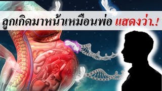 ทารกในครรภ์ : ทํานายลูกในท้องเกิดมาหน้าเหมือนพ่อ แสดงว่า..! | ความเชื่อคนท้อง | คนท้อง Everything