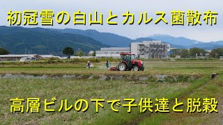 雨雲を押しのけて白銀幼稚園の脱穀・霊峰白山に見守られカルス菌散布・2020