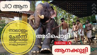 Jio മണികണ്ഠന്‍ ആന/ആനക്കുളി/Elephant bath_Kerala.