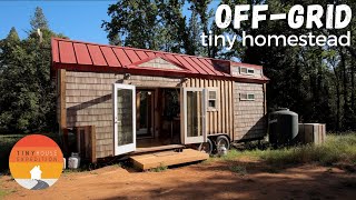 Off-Grid Tiny House Homestead - Amazing DIY Timber Frame Tiny Home