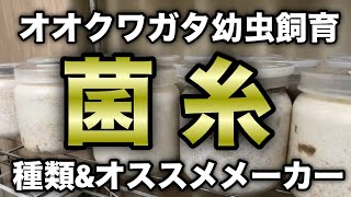 菌糸の種類とオススメメーカー/オオクワガタ/幼虫のエサ