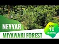 Fast Growing Miyawaki Forest at Neyyar | After 10 Months | Thiruvananthapuram, Kerala