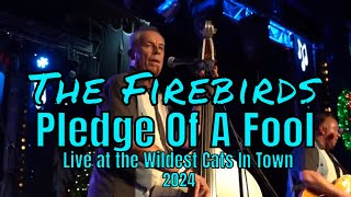 'Pledge Of A Fool' - The 'Firebirds' performed at The 'Wildest Cats In Town' November 2024