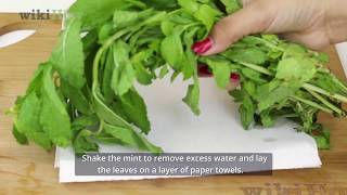 How to Keep Mint Leaves Fresh