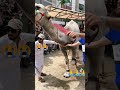 Eid Qurbani #eid #eidmubarak #motivation #youtubeshorts #youtube
