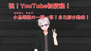 [初投稿！]小鳥遊楓の一問一答！自己紹介動画！！