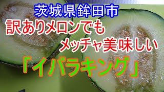 茨城県鉾田市の訳アリでも甘くてメッチャ美味しいメロン「イバラキング」を食べてみました