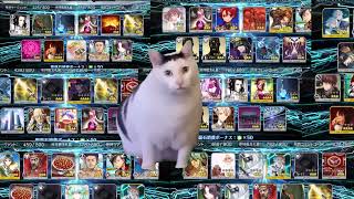 【FGO】かつてキャストリアを天井まで引いた話　＃猫ミーム　＃猫マニ