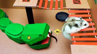 🐹🐍Snake Hamster Maze with Traps - obstacle course