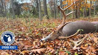 2026 Deer Regulations & Sturgeon Research