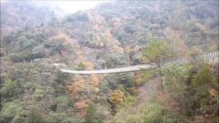 梅の木轟公園吊橋・紅葉