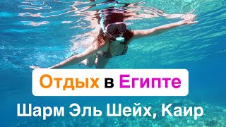 Отдых в Египте декабрь 2024. Отель Concorde в Шарм-Эль-Шейх, поездка в Каир на Пирамиды