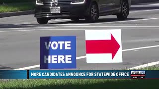 Virginia Election Preview