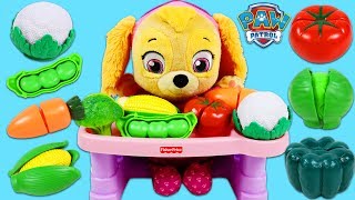 PAW PATROL Feeding Baby Skye Toy Velcro Cutting Fruits and Vegetables!