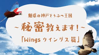 「Wingsウィングス篇」魅惑の神戸どうぶつ王国～秘密教えます！～【クラウドファンディング】