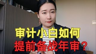 审计小白一般做哪些科目？如何提前备战年审？