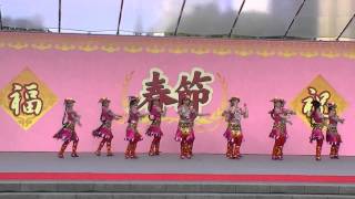 第8回名古屋春節祭（2014）　華麗な踊り