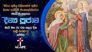 මරිය තුමිය එලිසබෙත් තුමිය බැහැ දැකීමේ මංගලෝත්සවය(මැයි මංගල්‍යය) දිව්‍ය පූජාව.