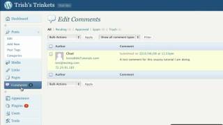WordPress Tutorial: Approving and Editing Comments