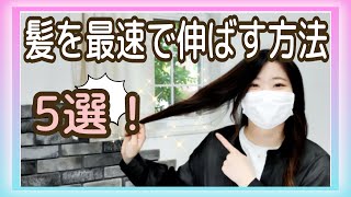 見逃し注意！【最速！】１mmでも早く髪を伸ばす方法！５選！